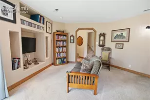 494 Lost Lake Dr, Divide, CO 80814 - Photo 17