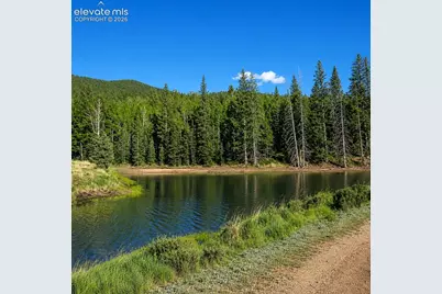 494 Lost Lake Drive, Divide, CO 80814 - Photo 29
