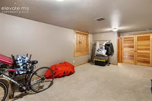 133 Elk Grove Ln, Woodland Park, CO 80863 - Photo 33