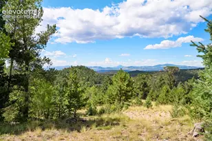 131 Paradiso Rd, Divide, CO 80814 - Photo 45