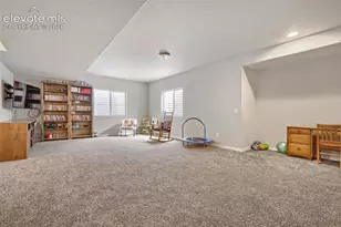 8251 Barley Ct, Peyton, CO 80831 - Photo 23