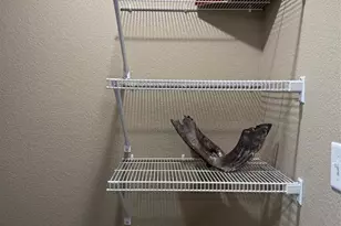 1778 Sandtoft Hts, Colorado Springs, CO 80951 - Photo 17