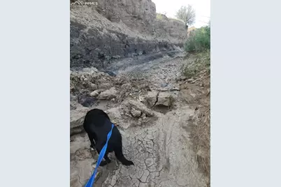 7480 Red Creek Springs Road, Pueblo, CO 81005 - Photo 41