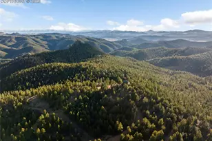 714 Woodrock Way, Divide, CO 80814 - Photo 39