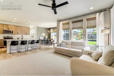 10249 Guild Terrace, Colorado Springs, CO 80924 - Photo 11