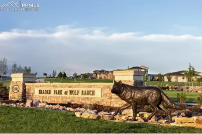 9587 Carcassonne Place, Colorado Springs, CO 80924 - Photo 15