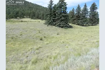 53 Nickel Plate Road, Cripple Creek, CO 80813 - Photo 9