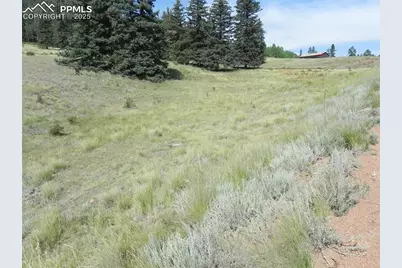 53 Nickel Plate Road, Cripple Creek, CO 80813 - Photo 11