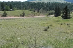 53 Nickel Plate Rd, Cripple Creek, CO 80813 - Photo 1