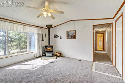 1360 Kiowa Road, Florissant, CO 80816 - Photo 7