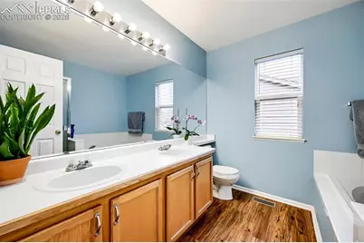 5202 Pine Haven Drive, Colorado Springs, CO 80923 - Photo 21