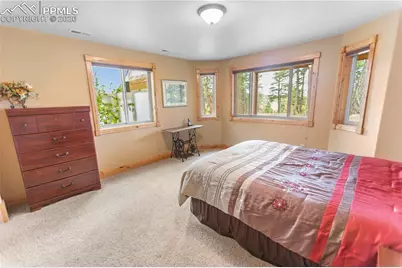 610 Cochetopa Road, Florissant, CO 80816 - Photo 19