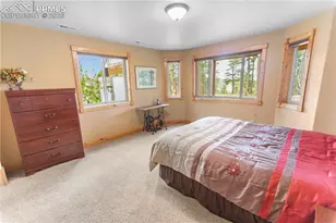 610 Cochetopa Rd, Florissant, CO 80816 - Photo 19