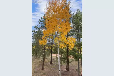 610 Cochetopa Road, Florissant, CO 80816 - Photo 35