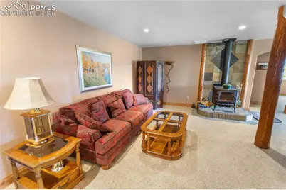 610 Cochetopa Road, Florissant, CO 80816 - Photo 21