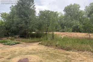 1559 Courtyard Heights, Colorado Springs, CO 80906 - Photo 5