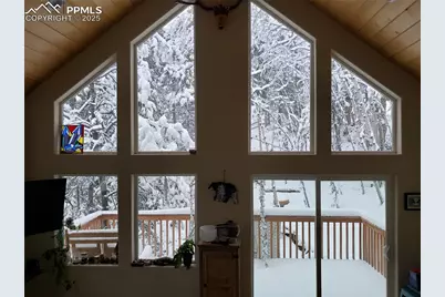 509 Wakanda Trail, Woodland Park, CO 80863 - Photo 35