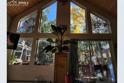 509 Wakanda Trail, Woodland Park, CO 80863 - Photo 33