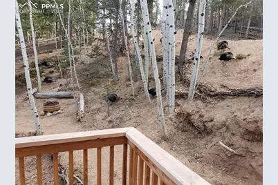 509 Wakanda Trail, Woodland Park, CO 80863 - Photo 11