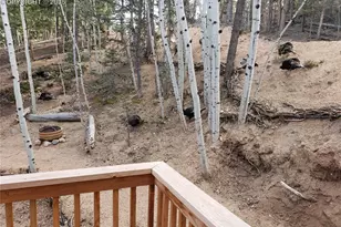 509 Wakanda Trail, Woodland Park, CO 80863 - Photo 11