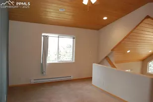 509 Wakanda Trail, Woodland Park, CO 80863 - Photo 21