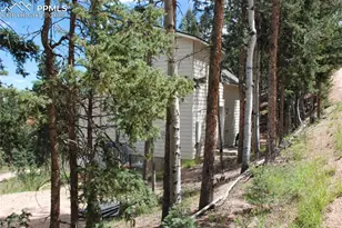509 Wakanda Trail, Woodland Park, CO 80863 - Photo 29