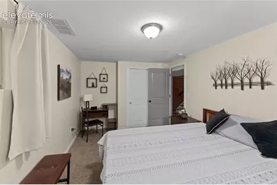 417 Coraline Street, Woodland Park, CO 80863 - Photo 33
