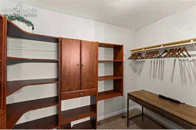 417 Coraline Street, Woodland Park, CO 80863 - Photo 23