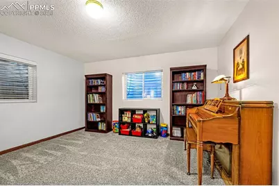 1015 Marsh Hawk Drive, Colorado Springs, CO 80911 - Photo 19