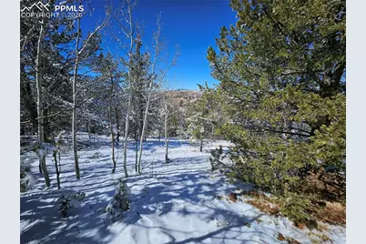 829 Princess Road, Cripple Creek, CO 80813 - Photo 21