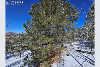 829 Princess Road, Cripple Creek, CO 80813 - Photo 19