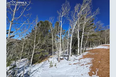 829 Princess Road, Cripple Creek, CO 80813 - Photo 1