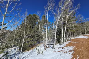 829 Princess Rd, Cripple Creek, CO 80813 - Photo 1