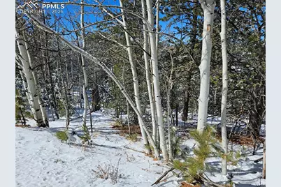 829 Princess Road, Cripple Creek, CO 80813 - Photo 23