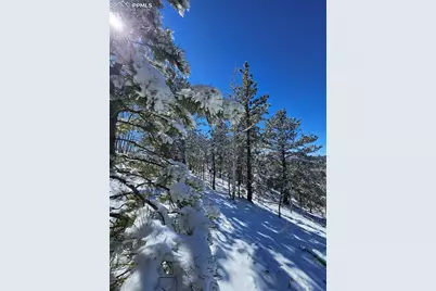 829 Princess Road, Cripple Creek, CO 80813 - Photo 5