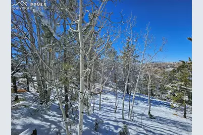 829 Princess Road, Cripple Creek, CO 80813 - Photo 17