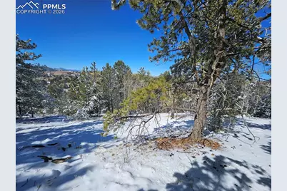 829 Princess Road, Cripple Creek, CO 80813 - Photo 11