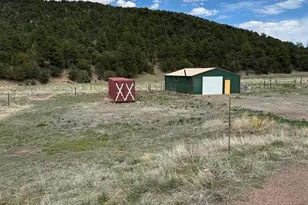 7878 County Road 28 Rd, Cotopaxi, CO 81223 - Photo 21