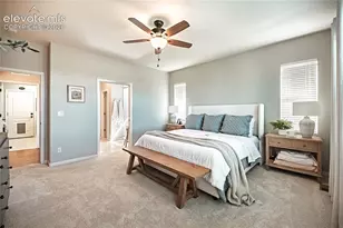 2613 Crooked Vine Ct, Colorado Springs, CO 80921 - Photo 11