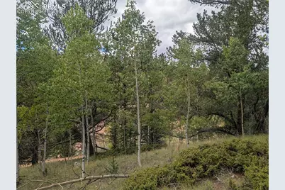 2455 Yorktown Road, Cripple Creek, CO 80813 - Photo 15