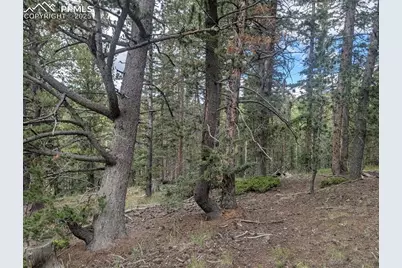 2455 Yorktown Road, Cripple Creek, CO 80813 - Photo 23