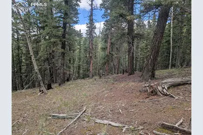 2455 Yorktown Road, Cripple Creek, CO 80813 - Photo 3