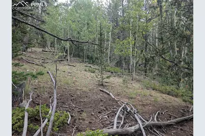 2455 Yorktown Road, Cripple Creek, CO 80813 - Photo 21