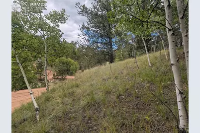 2455 Yorktown Road, Cripple Creek, CO 80813 - Photo 11