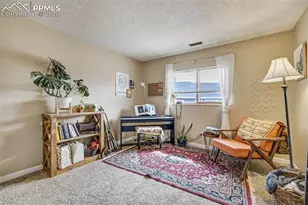 6935 Peyote Way, Colorado Springs, CO 80919 - Photo 19