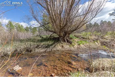 721 Forest View Road, Monument, CO 80132 - Photo 25