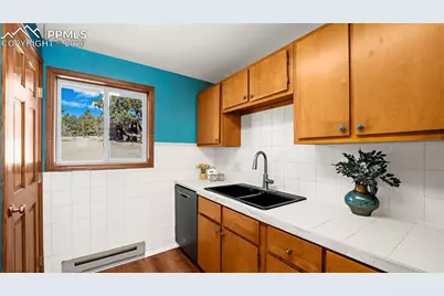 950 Southpark Road, Florissant, CO 80816 - Photo 23