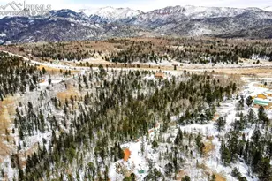 977 Co Rd 61, Divide, CO 80814 - Photo 1