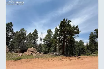 3546 N Mountain Estates Road, Florissant, CO 80816 - Photo 5