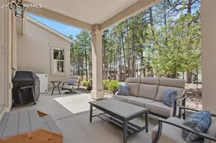 16464 Woodward Terrace, Monument, CO 80132 - Photo 41
